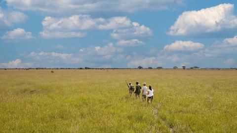 Tanzania-Grumeti-Serengeti-River-Lodge-Experiences-guided-nature-walk_2