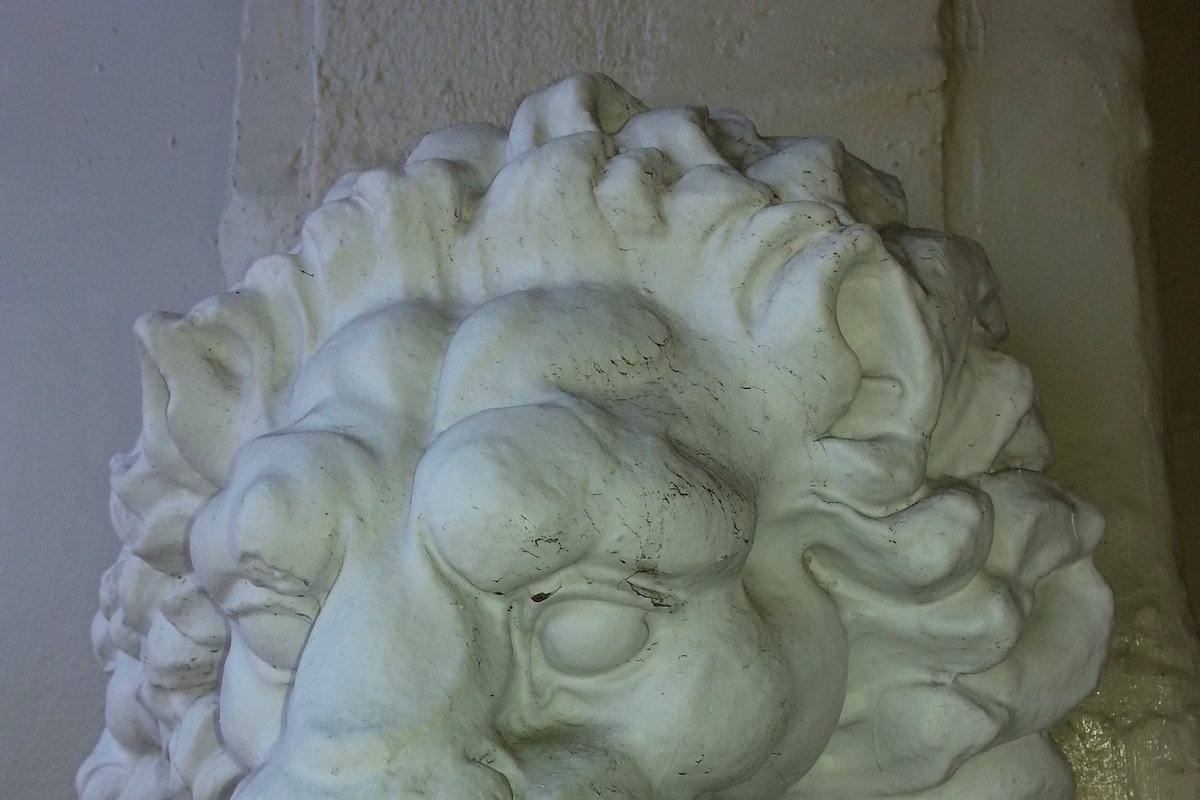 4 bedroom, 3 bathroom, huge, with palms and art gallery image 5