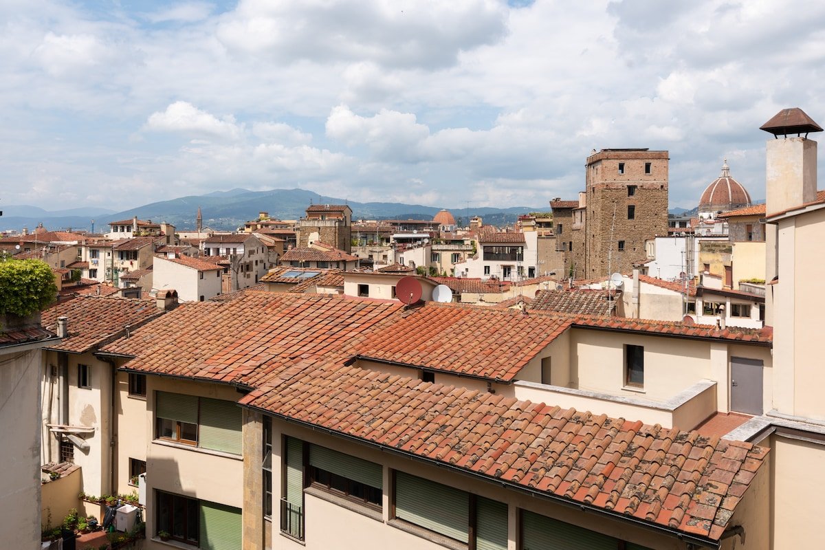 Pitti Penthouse, 2 terraces with view! gallery image 3