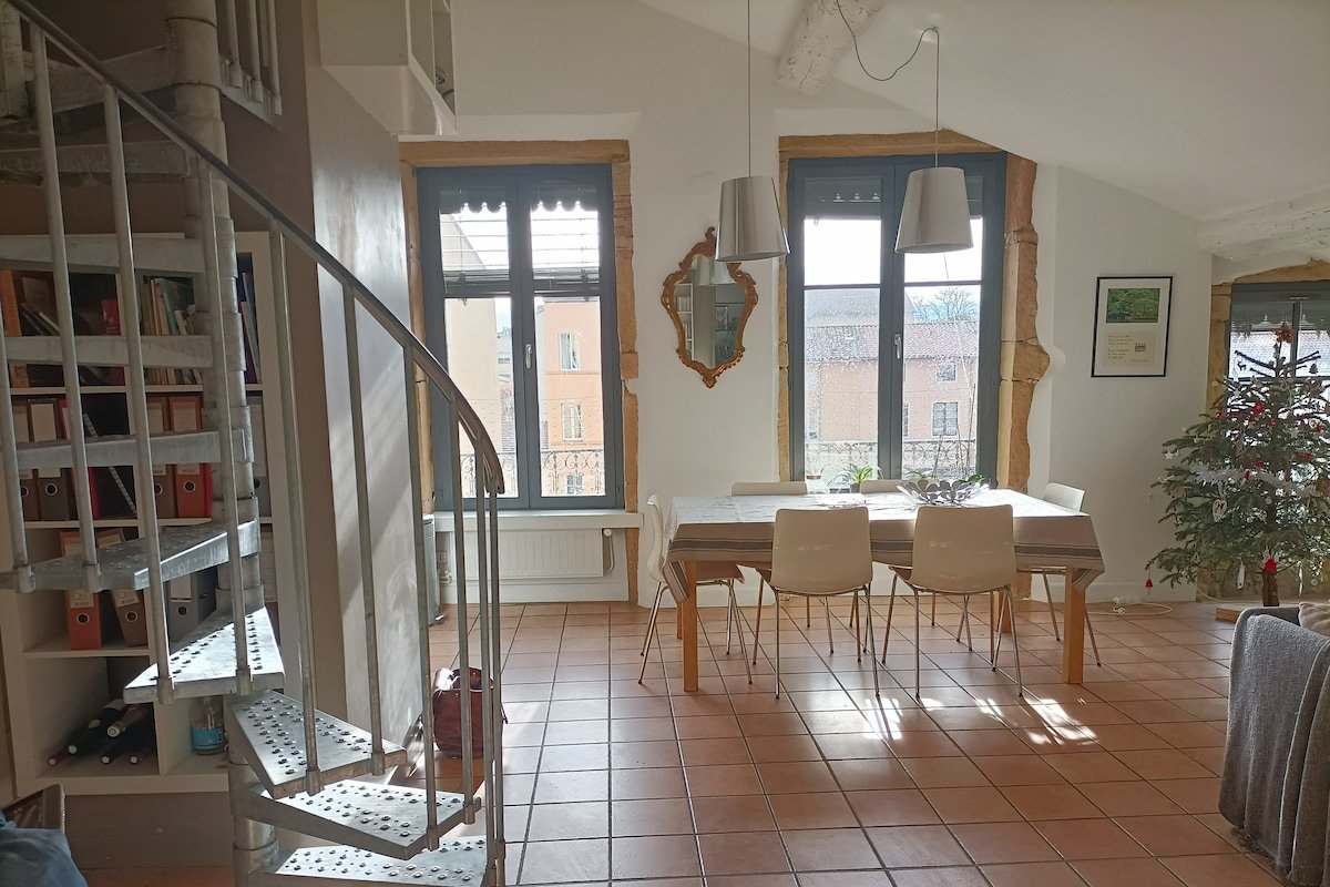 LYON CROIX ROUSSE GRAND APPARTEMENT CHALEUREUX gallery image 4