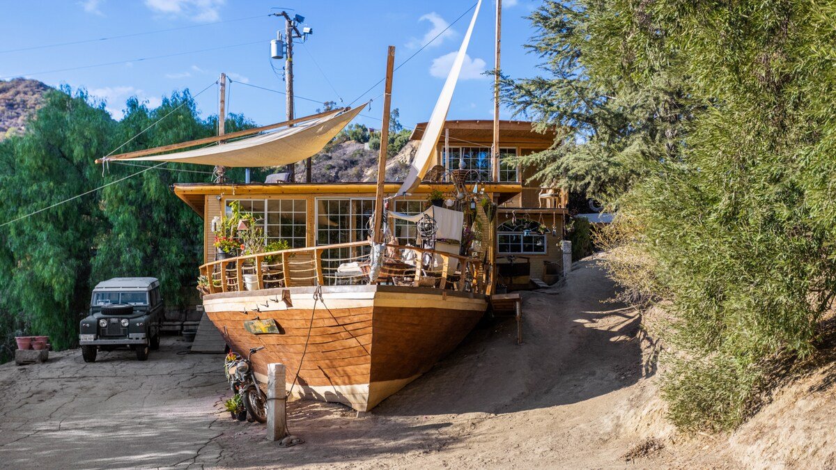 @MotherShippo family Sanctuary gallery image 3