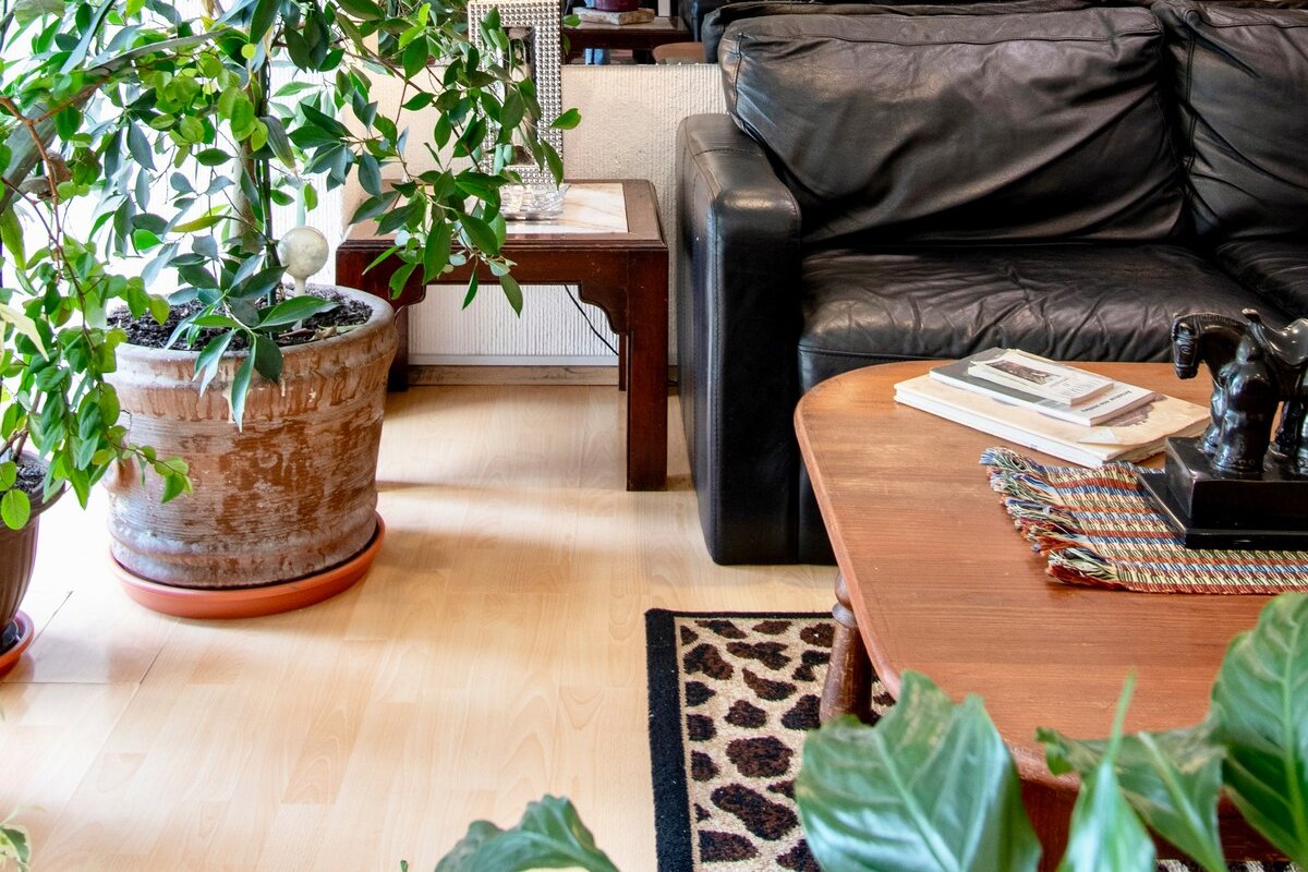 New! Eclectic Jungle! – Incredible Polanco Apartm gallery image 3