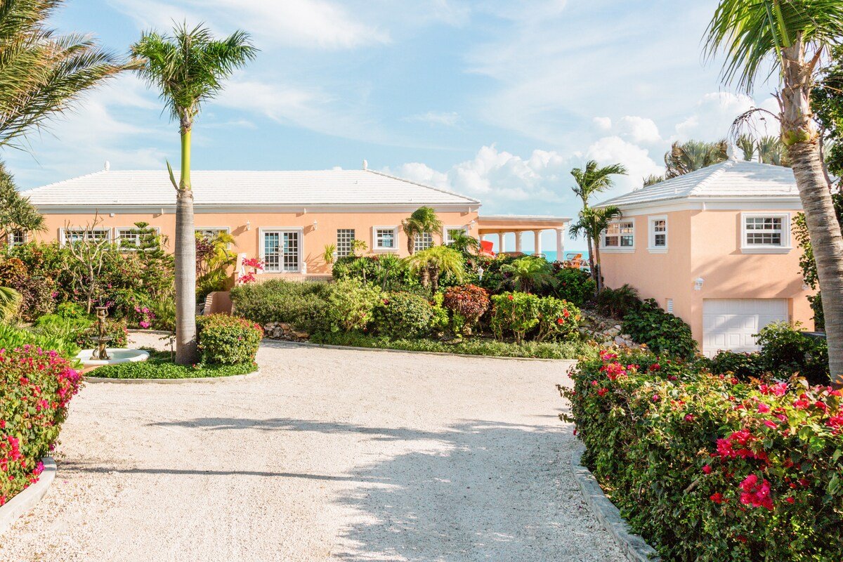 Three Dolphins gallery image 4