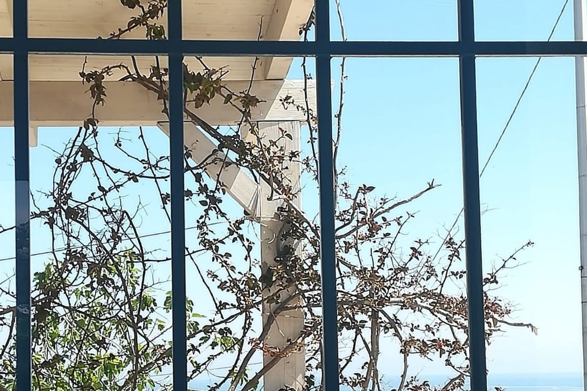 Villette a Marina Serra, tra Ulivi e mare gallery image 4