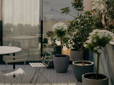 The Napier Apartment | A Fitzroy Penthouse