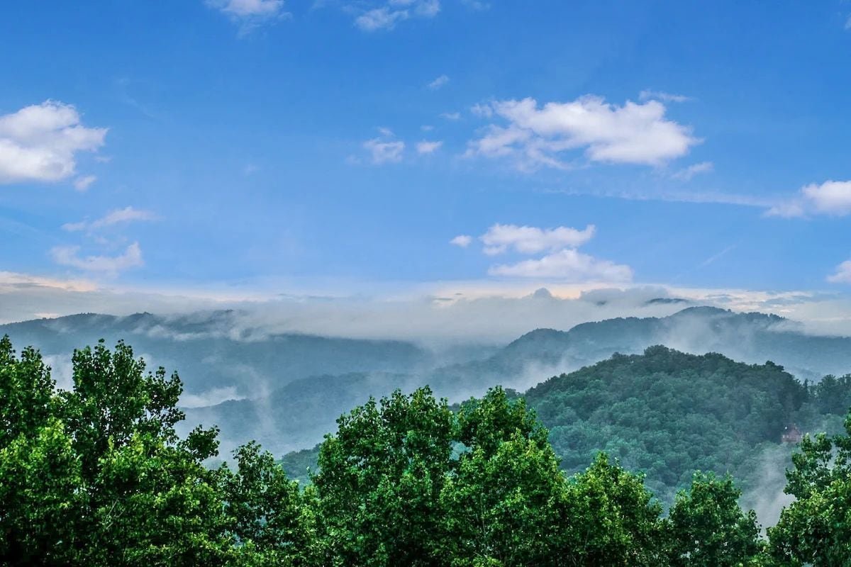 New! Relax at Blue Ridge Dream in Asheville gallery image 3