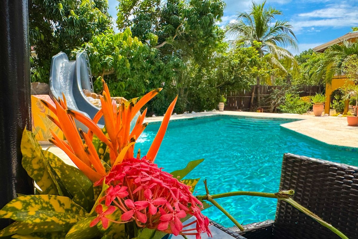 Caribbean Shores Bed and Breakfast gallery image 2