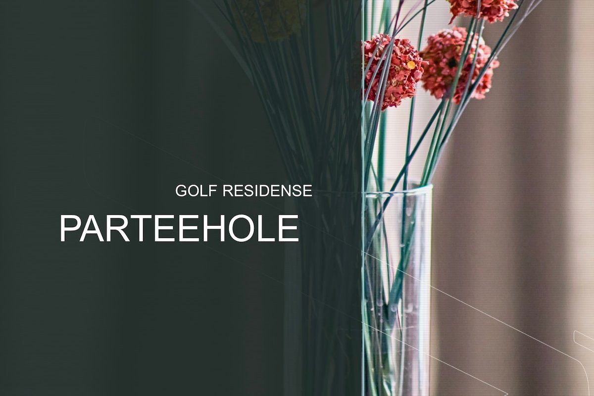 VILLA PARTEEHOLE gallery image 3