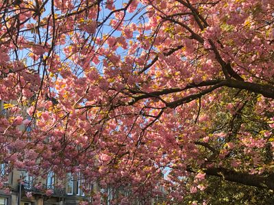 Penthouse apartment in the heart of the city