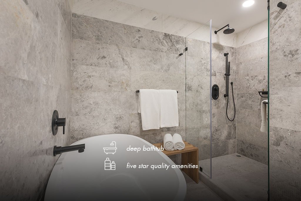 Condesa – Balcony Ste. Live/Work 2BD/2BA 6PAX gallery image 4