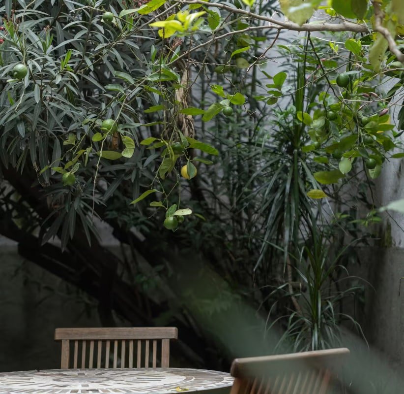 Cozy 3BR home in Condesa gallery image 3