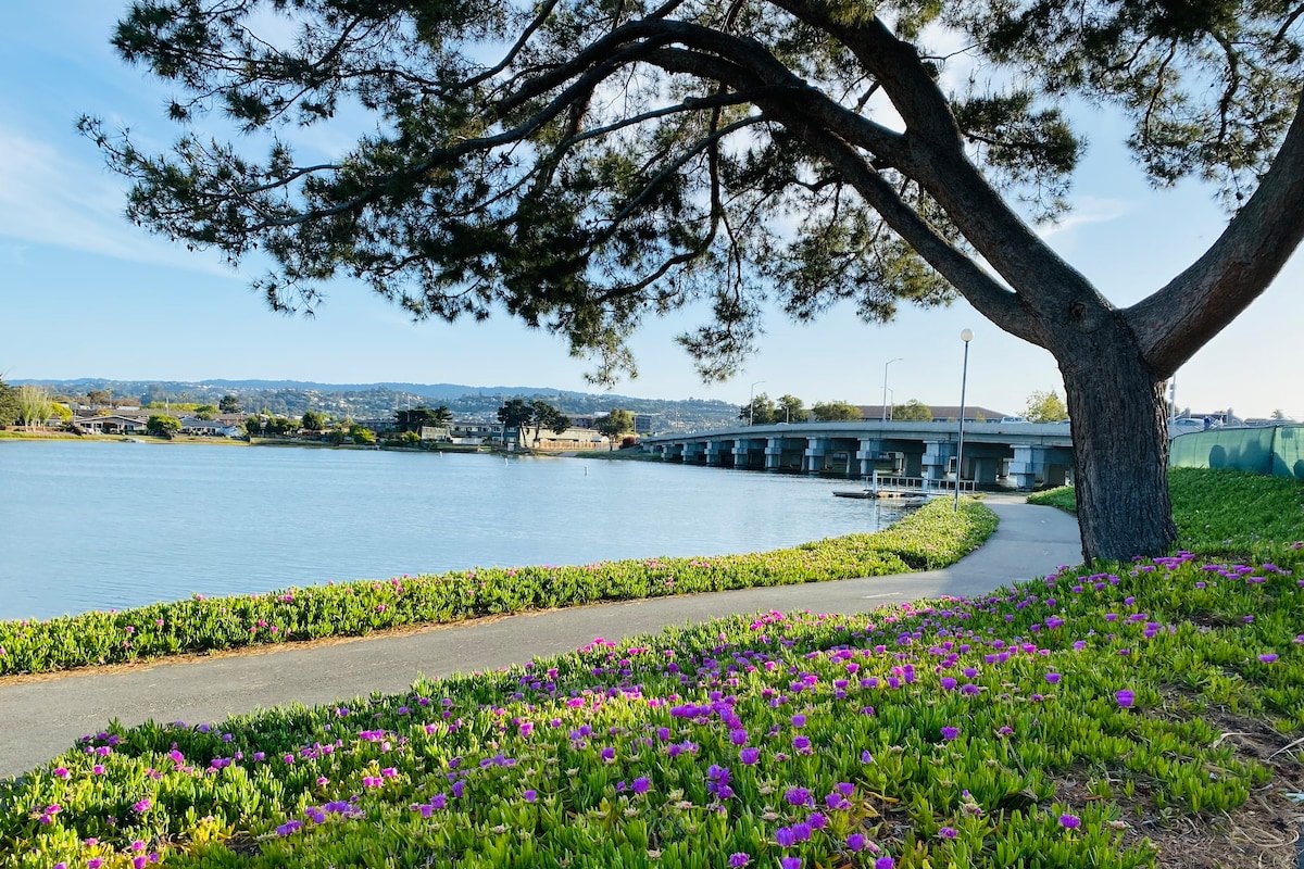 Elegant Modern 5BR/4BA in Heart of Silicon Valley gallery image 2
