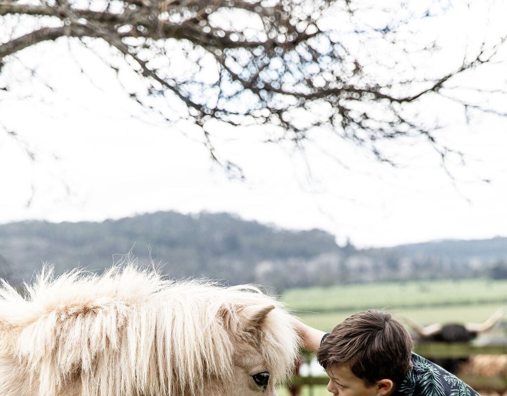 Thornby Farm stay gallery image 5