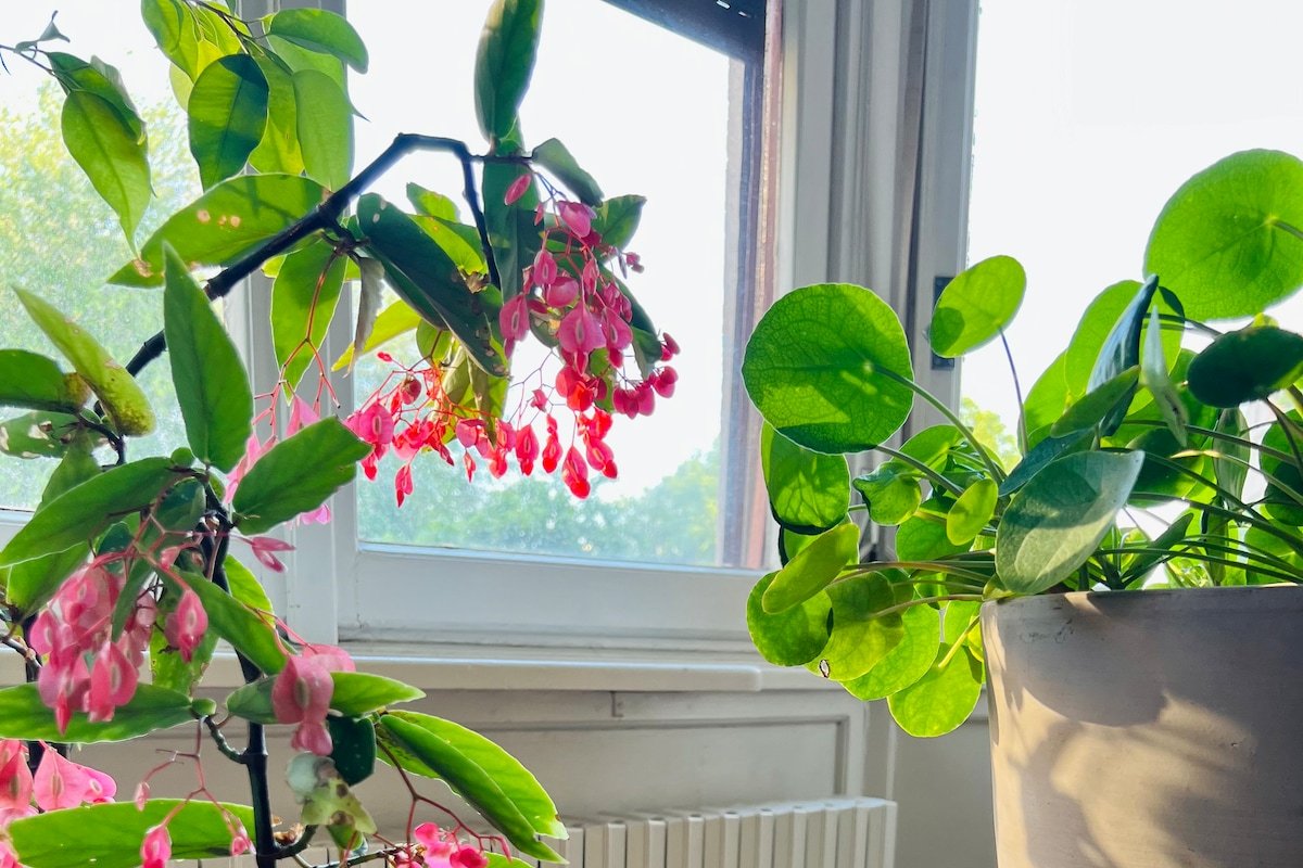 Conca dei Navigli apartment gallery image 4