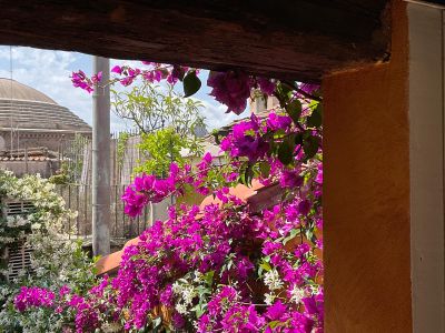 Attico con due terrazze al Pantheon, Roma