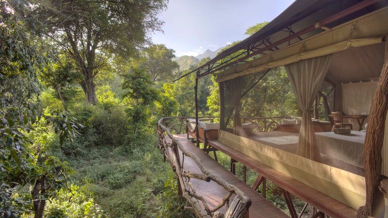 Sarara Treehouses Luxury tents