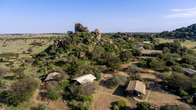 Mbuzi Mawe Camp (Aerial View) - Set in the heart of the Serengeti, Mbuzi Mawe Serena Camp offers guests the ultimate African safari experience with magnificent views of the surrounding landscape and a traditional tented camp design that blends seamlessly with its natural surroundings.