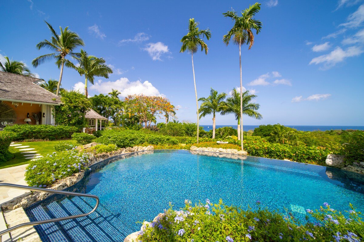 Point Of View gallery image 2