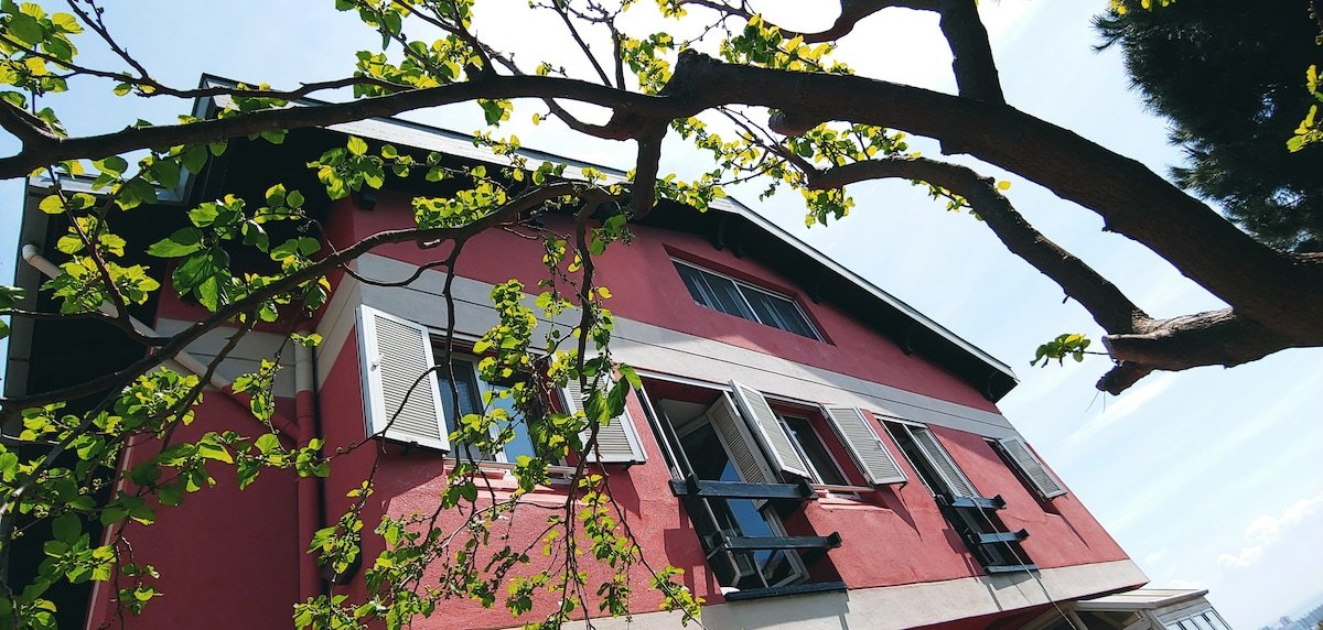 LuX Villa PrV DragosPark Garden Pool Pine Sea Sun gallery image 5