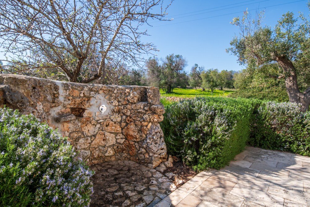 Villa Rosmarino gallery image 5