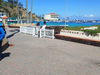 Catalina Island Mid Century Modern Home