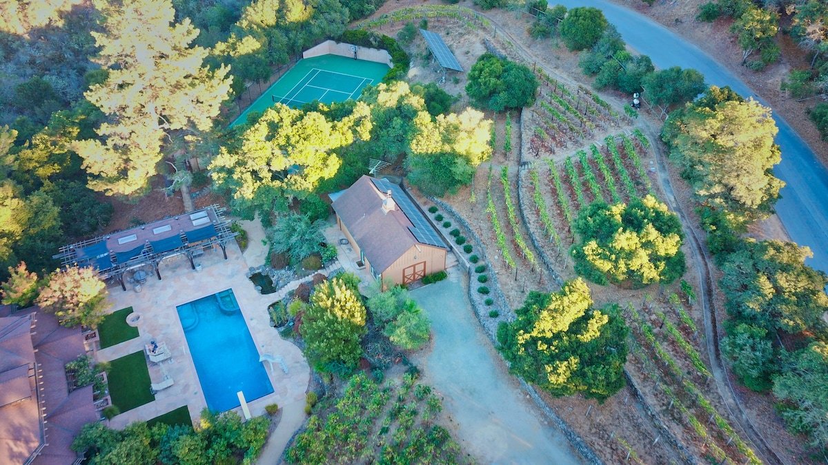 3 BR Home on Vineyard nr Palo Alto & Stanford gallery image 5