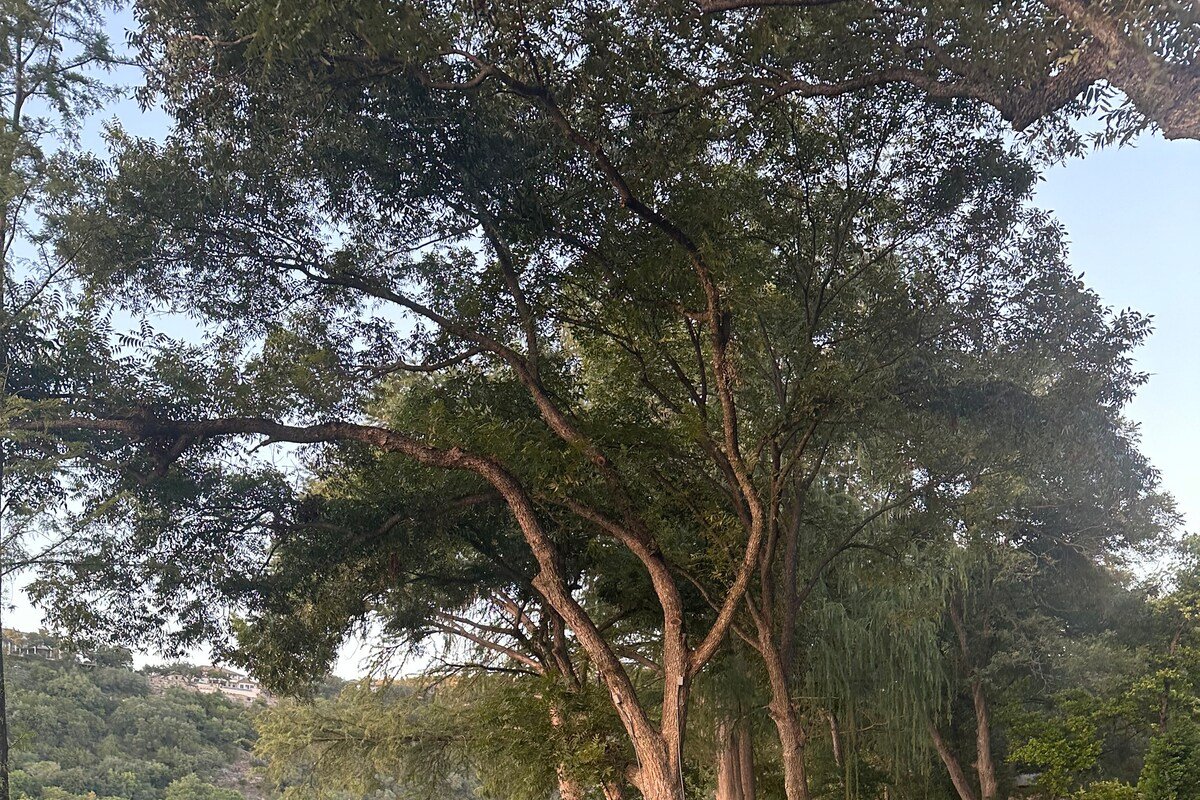 Amazing Lakefront Home with Huge Yard & Dock gallery image 3