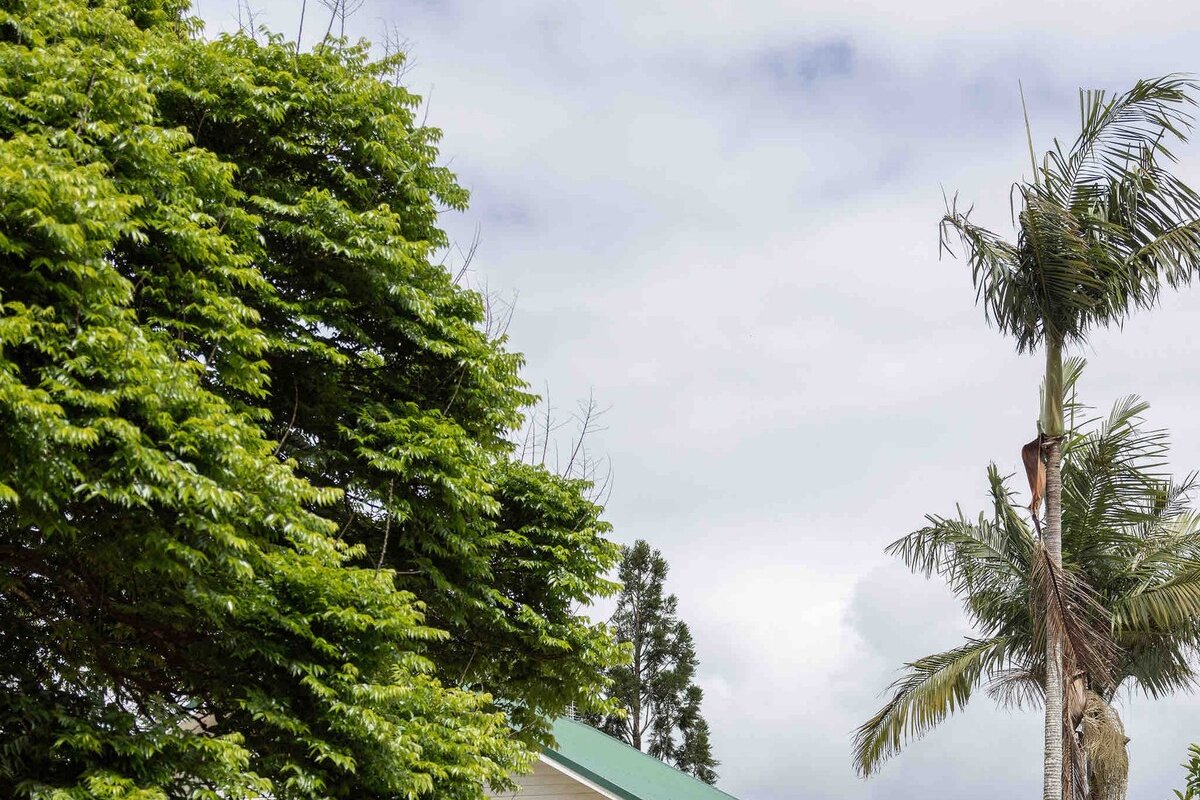 Black Cockatoo Bangalow gallery image 4