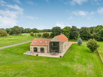 Dragonfly | Holiday at Home