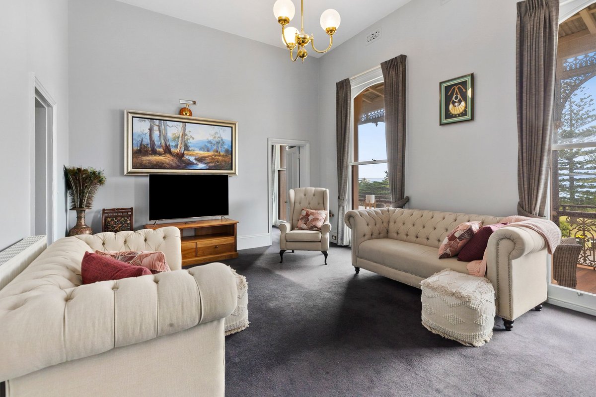 Pelicans at the Ozone