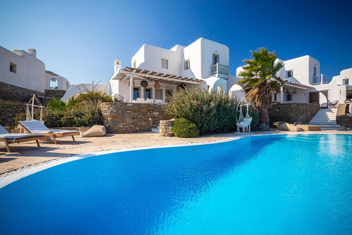 Villa Athenée 20 people Private pool gallery image 3