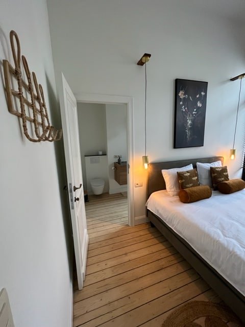 Huis Van Hoorne, gerenoveerd herenhuis op het Zuid gallery image 5