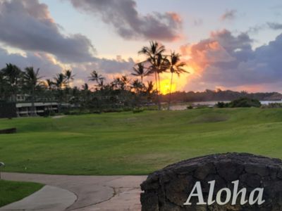 Garden Paradise w/5 min. walk to beach