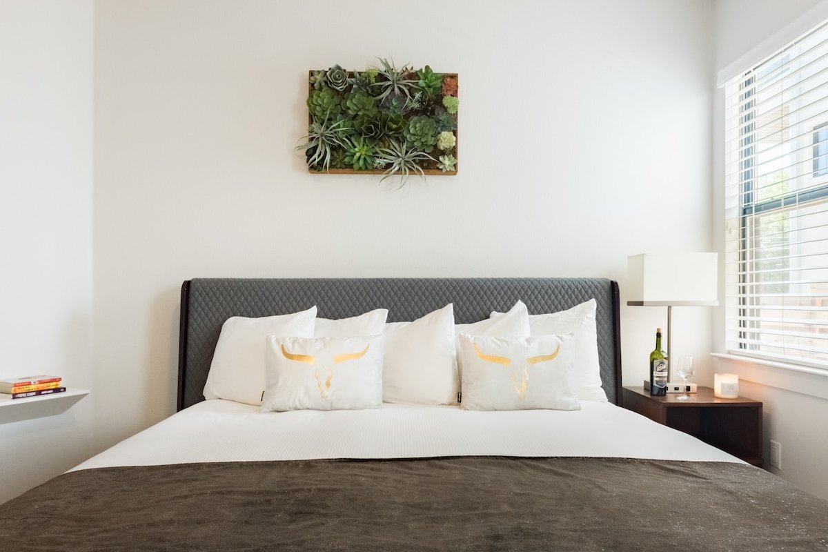 Modern Luxury House in East Downtown gallery image 5