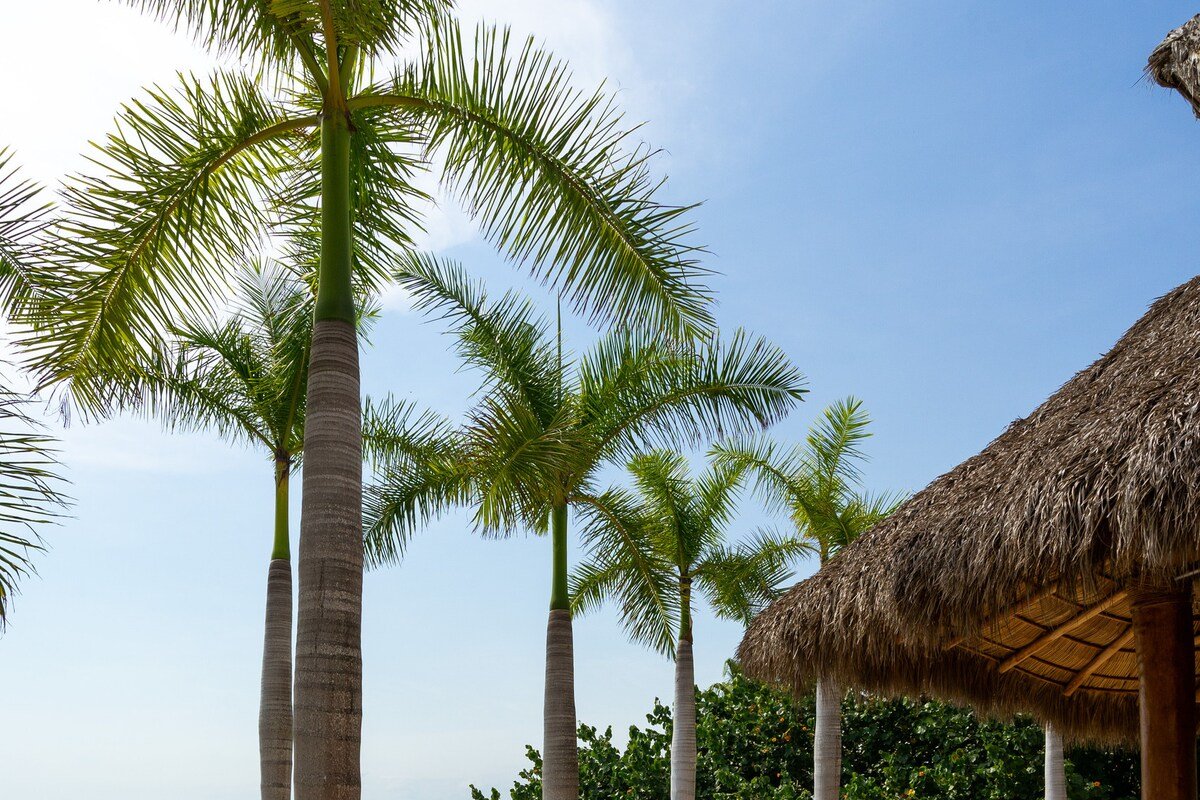 Villa Koi gallery image 3