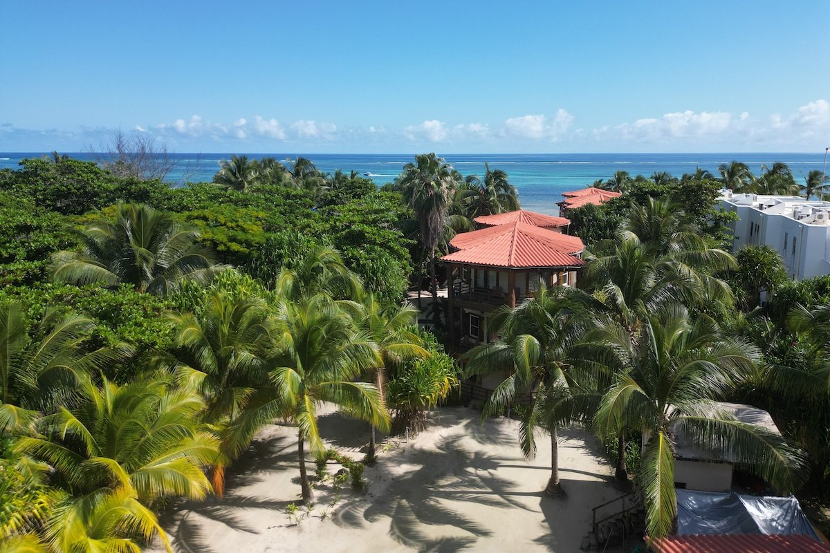 Stunning Beachfront Villa. Pool. Gourmet Kitchen. gallery image 3