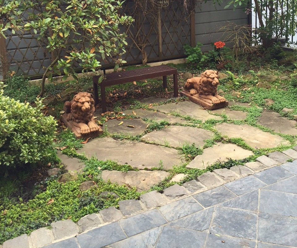 Classic Elegance Pacific Heights gallery image 4