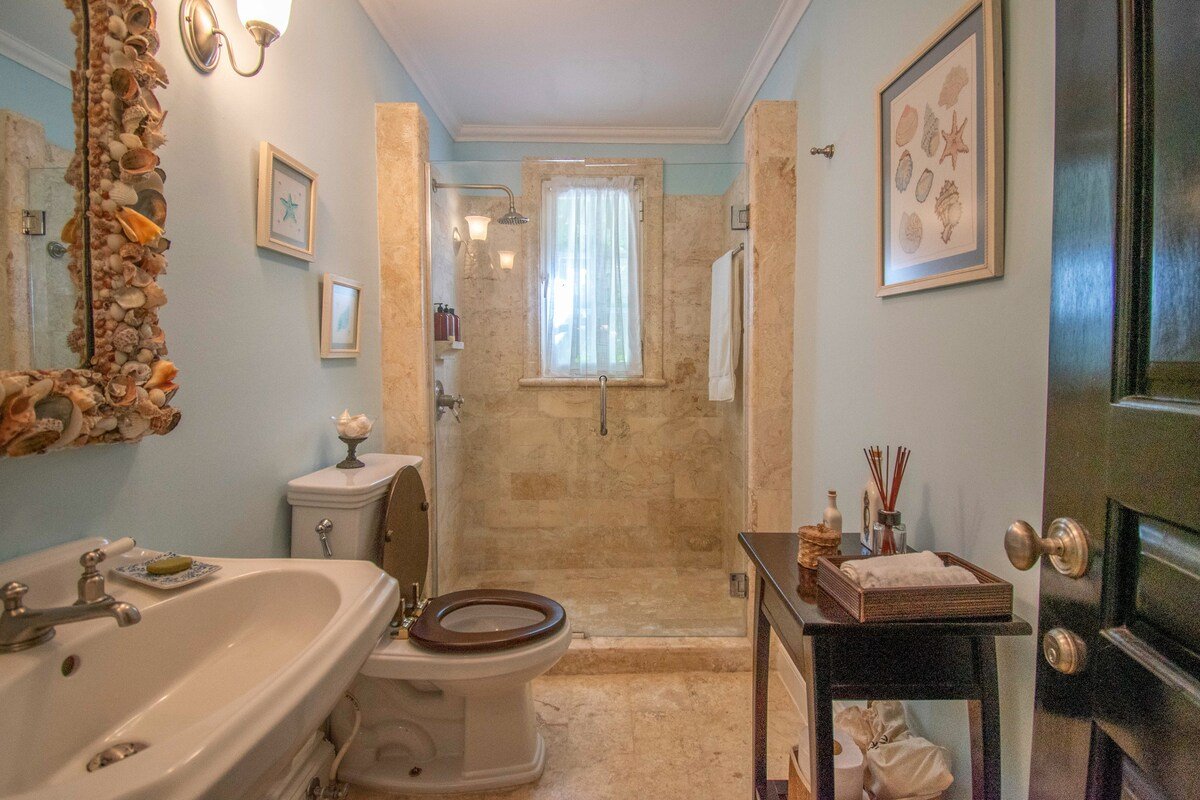 Tortuga C35 gallery image 2