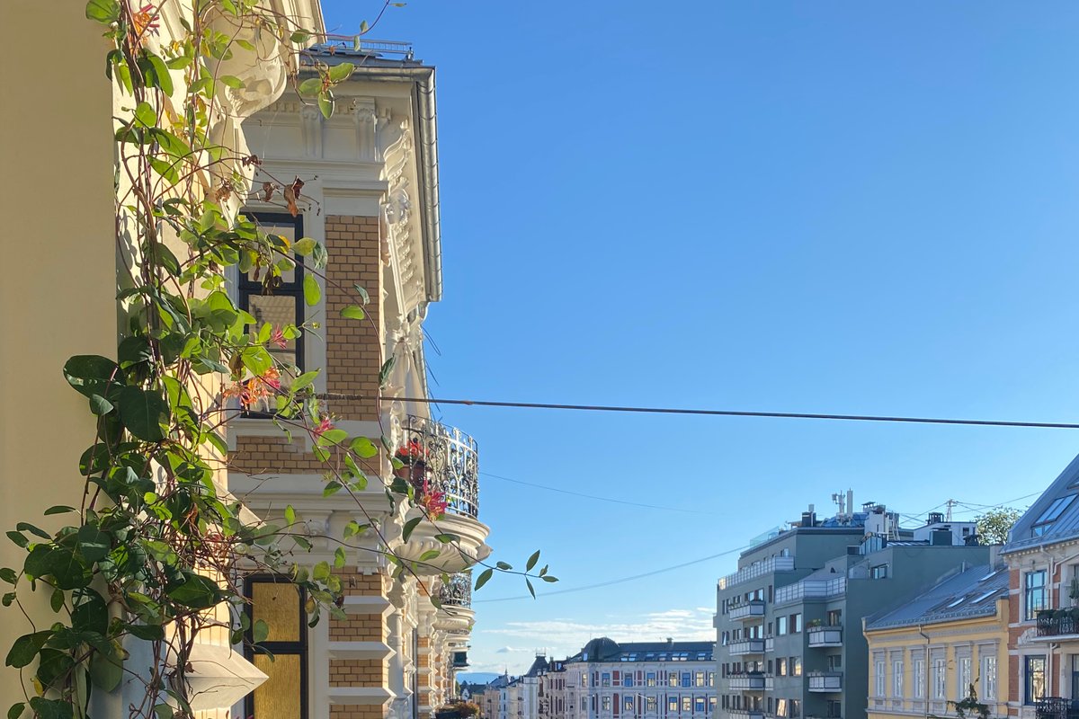 Classic Frogner. Beautiful flat. Central and quiet