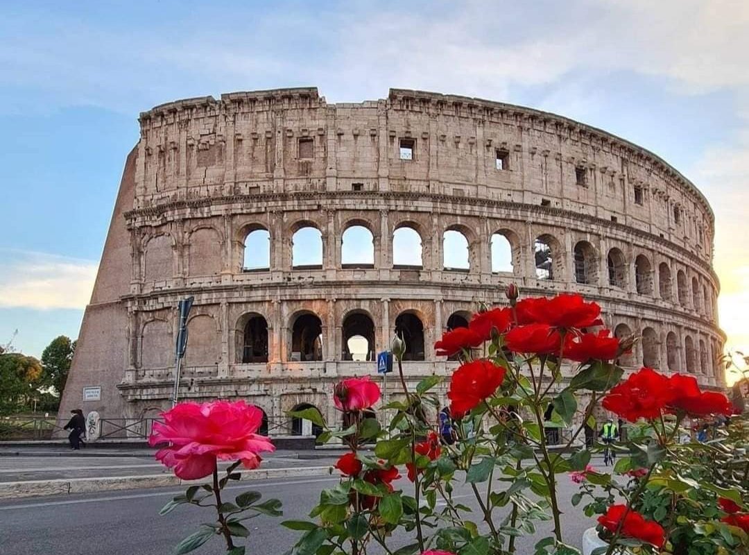 -DOMUSAUREA295 AT THE COLOSSEUM- gallery image 5