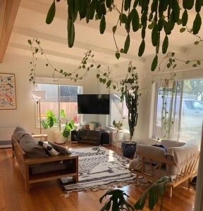 Modern beach bungalow