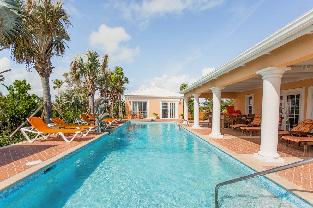 Three Dolphins gallery image 3