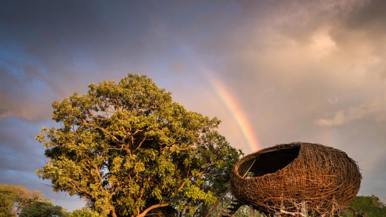 Chisa Busanga Camp The Luxury Nests