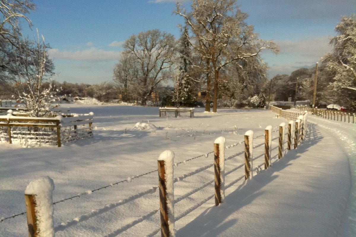 Luxury Edinburgh Period Property gallery image 3