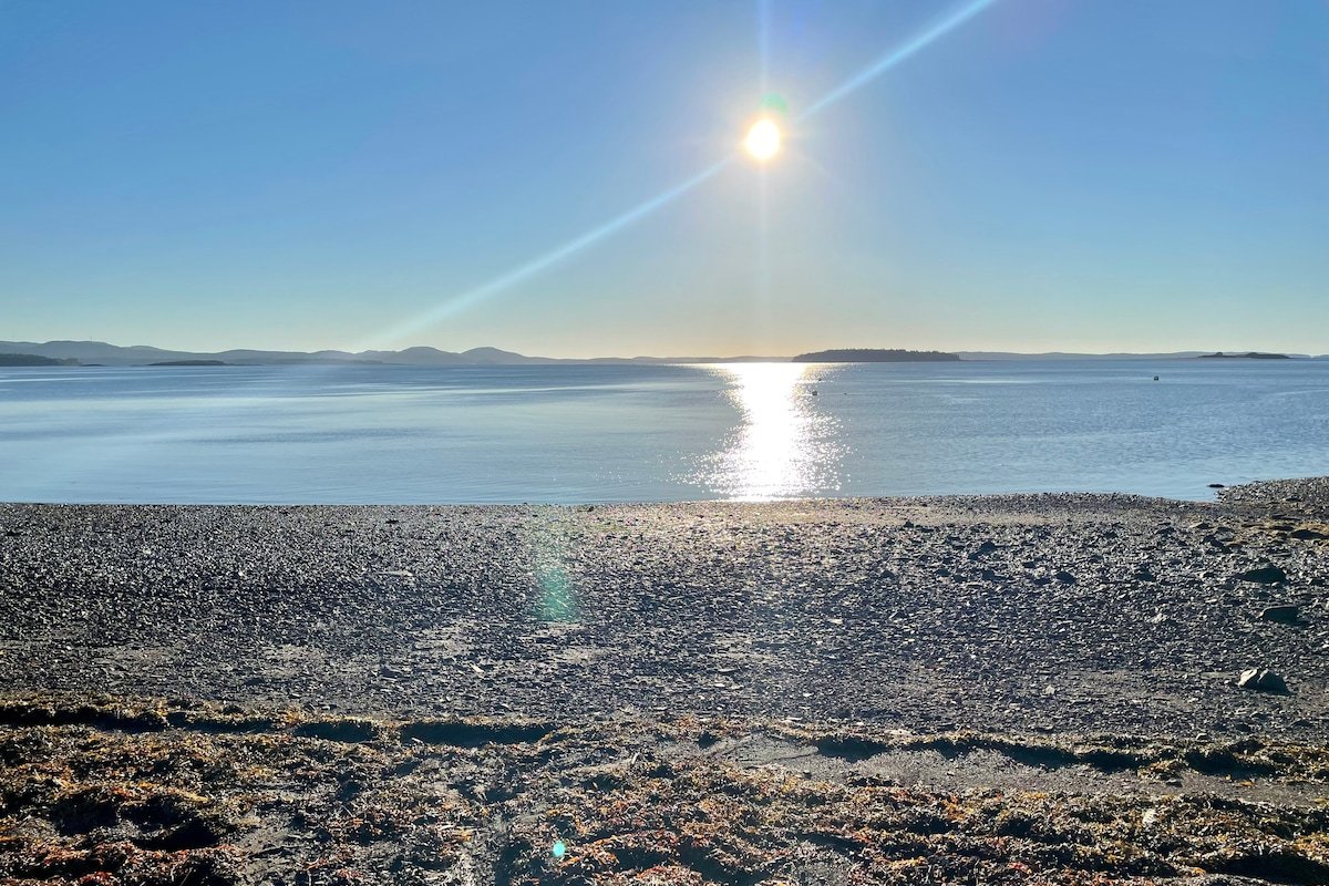 The Shorebird – ocean views & beach – St Andrews gallery image 4