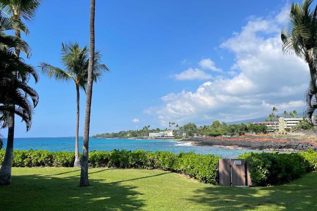 Spectacular 2 Home, Oceanfront Compound by Magics! gallery image 5
