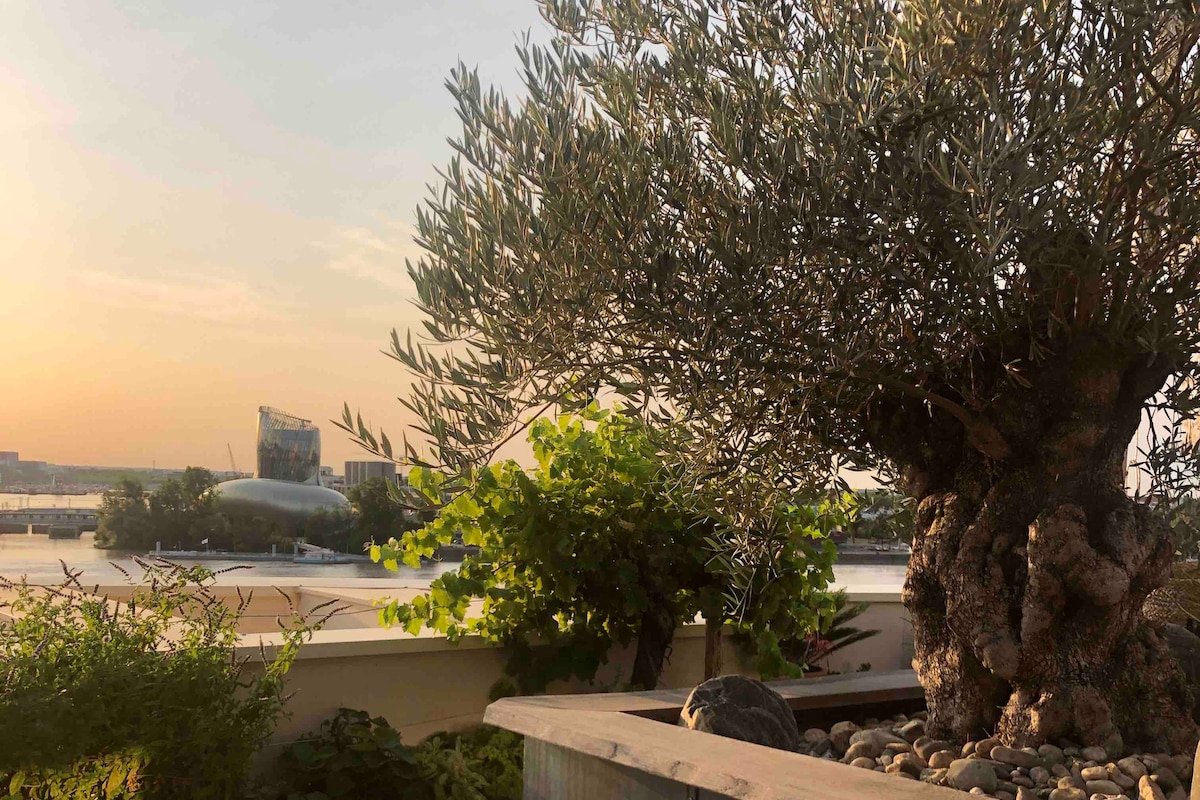 Super penthouse vue Garonne avec jacuzzi gallery image 3