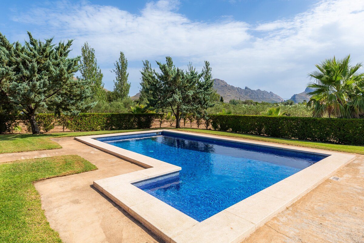 La Vinya del Beato 1950 gallery image 3