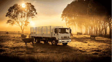 ISUZU GXZ 45-360 A/T T/T C/C - 0 thumb