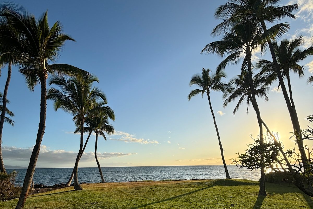Whales and sunsets, front row seats every day! gallery image 4